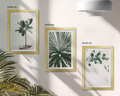 3 paveikslų rinkinys su rėmais Žalieji augalai minimalistiniu stiliumi