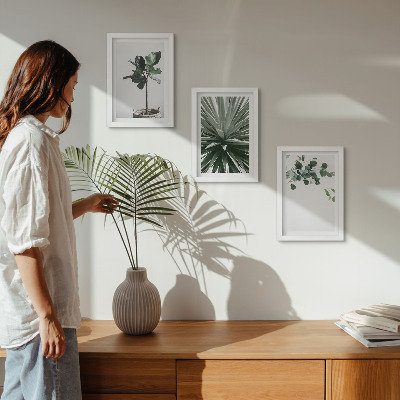 3 paveikslų rinkinys su rėmais Žalieji augalai minimalistiniu stiliumi