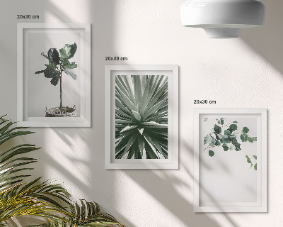 3 paveikslų rinkinys su rėmais Žalieji augalai minimalistiniu stiliumi