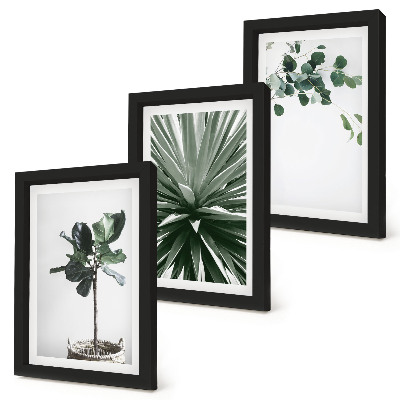3 paveikslų rinkinys su rėmais Žalieji augalai minimalistiniu stiliumi