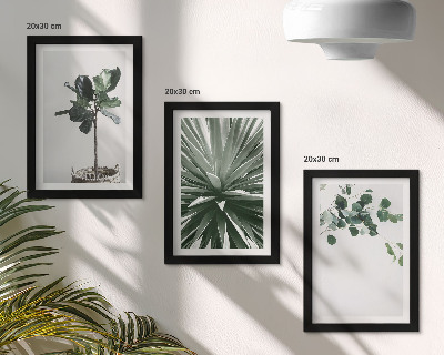3 paveikslų rinkinys su rėmais Žalieji augalai minimalistiniu stiliumi