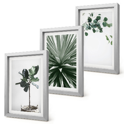 3 paveikslų rinkinys su rėmais Žalieji augalai minimalistiniu stiliumi