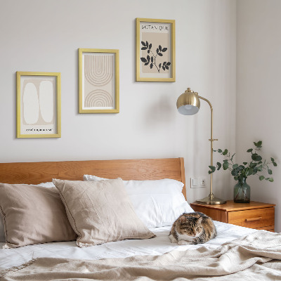 3 paveikslų rinkinys su rėmais Subtilūs bohemiški plakatai su augalų motyvais