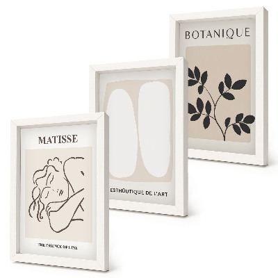 Įrėmintų paveikslų rinkinys Stilingi minimalistiniai Matisse'o paveikslai su augalų motyvais