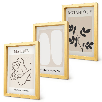 Įrėmintų paveikslų rinkinys Stilingi minimalistiniai Matisse'o paveikslai su augalų motyvais