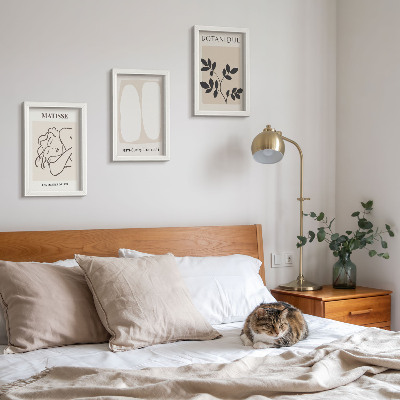 Įrėmintų paveikslų rinkinys Stilingi minimalistiniai Matisse'o paveikslai su augalų motyvais
