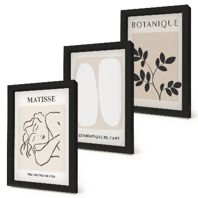 Įrėmintų paveikslų rinkinys Stilingi minimalistiniai Matisse'o paveikslai su augalų motyvais