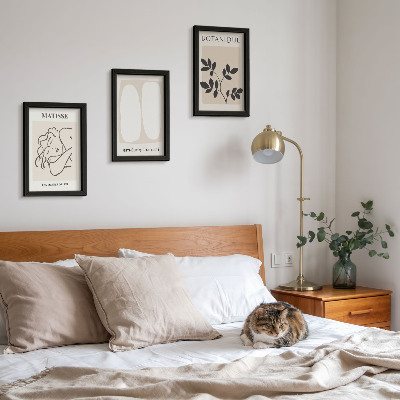 Įrėmintų paveikslų rinkinys Stilingi minimalistiniai Matisse'o paveikslai su augalų motyvais