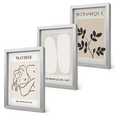 Įrėmintų paveikslų rinkinys Stilingi minimalistiniai Matisse'o paveikslai su augalų motyvais