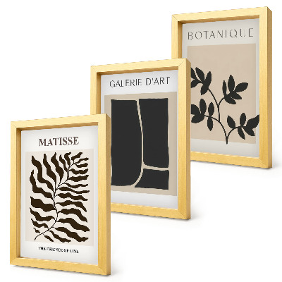 3 paveikslų rinkinys su rėmais Minimalistiniai plakatai su augalų raštais ir abstrakčiais raštais