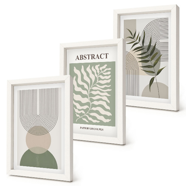 3 paveikslų rinkinys su rėmais Botanikos santraukos kaimiško boho stiliaus