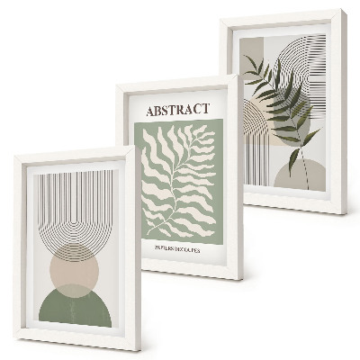 3 paveikslų rinkinys su rėmais Botanikos santraukos kaimiško boho stiliaus