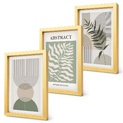 3 paveikslų rinkinys su rėmais Botanikos santraukos kaimiško boho stiliaus