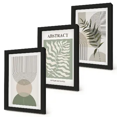 3 paveikslų rinkinys su rėmais botanikos motyvų kaimiško boho stiliaus