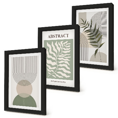 3 paveikslų rinkinys su rėmais Botanikos santraukos kaimiško boho stiliaus