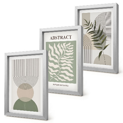 3 paveikslų rinkinys su rėmais Botanikos santraukos kaimiško boho stiliaus