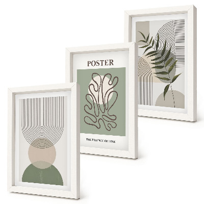 Įrėmintų paveikslų rinkinys Geometrinių abstrakčių botaninių raštų plakatas