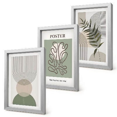 Įrėmintų paveikslų rinkinys Geometrinių abstrakčių botaninių raštų plakatas