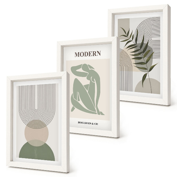 3 paveikslų rinkinys su rėmais Stilinga grafika su abstrakčiomis formomis ir augalais