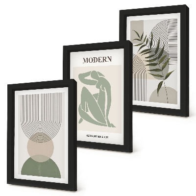 3 paveikslų rinkinys su rėmais Stilinga grafika su abstrakčiomis formomis ir augalais