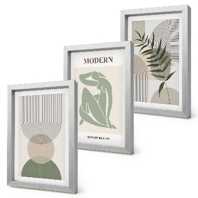 3 paveikslų rinkinys su rėmais Stilinga grafika su abstrakčiomis formomis ir augalais