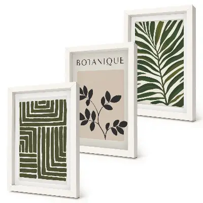 Botaninės kompozicijos boho minimalizmo stiliumi 3 paveikslų rinkinys su rėmais