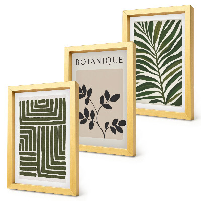 3 paveikslų rinkinys su rėmais Botaninės kompozicijos boho minimalizmo stiliumi