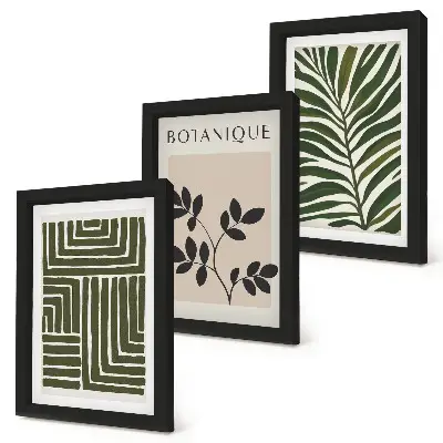 Botaninės kompozicijos boho minimalizmo stiliumi 3 paveikslų rinkinys su rėmais