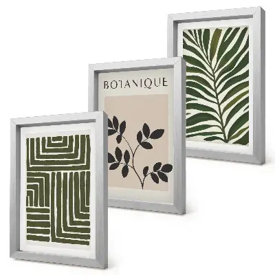 Botaninės kompozicijos boho minimalizmo stiliumi 3 paveikslų rinkinys su rėmais