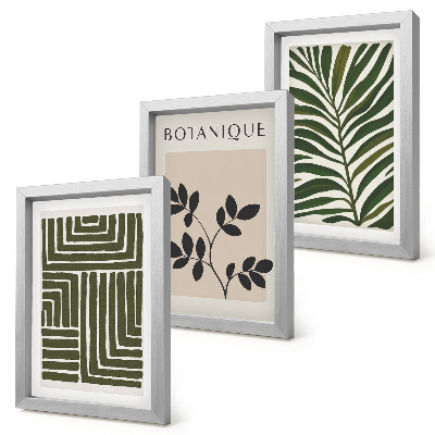 3 paveikslų rinkinys su rėmais Botaninės kompozicijos boho minimalizmo stiliumi