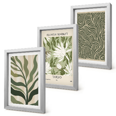 3 paveikslų rinkinys su rėmais Augalų raštai, botaninės dekoracijos, boho stilius