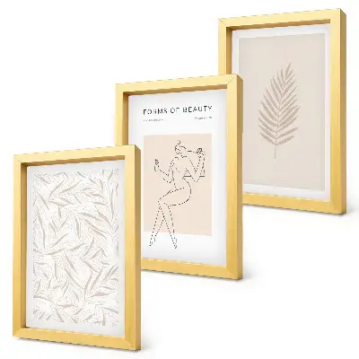 Įrėmintų paveikslų rinkinys minimalistiniai botaniniai motyvai