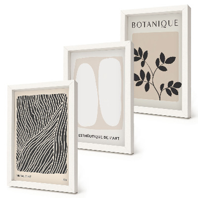 3 paveikslų rinkinys su rėmais Gėlių raštai ir minimalistinės linijos neutraliomis spalvomis