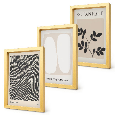 3 paveikslų rinkinys su rėmais Gėlių raštai ir minimalistinės linijos neutraliomis spalvomis
