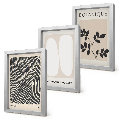 3 paveikslų rinkinys su rėmais Gėlių raštai ir minimalistinės linijos neutraliomis spalvomis