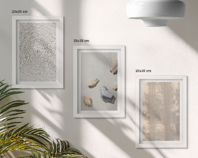 Įrėmintų paveikslų rinkinys Boho tekstūros natūralios struktūros