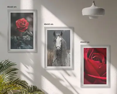 Įrėmintas triptikas raudonos rožės ir pilkas arklys