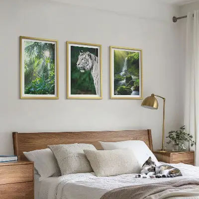 Džiunglių tigro krioklys 3 paveikslų rinkinys su rėmais