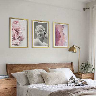 3 paveikslų rinkinys su rėmais Bijūnų abstrakti moters skulptūra