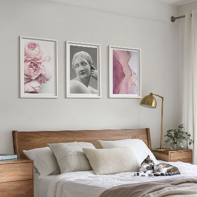 3 paveikslų rinkinys su rėmais Bijūnų abstrakti moters skulptūra