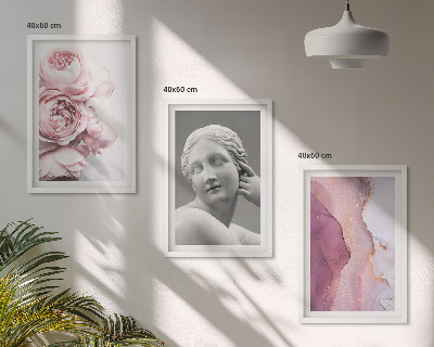 3 paveikslų rinkinys su rėmais Bijūnų abstrakti moters skulptūra