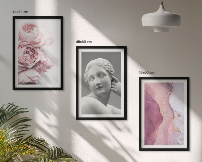 3 paveikslų rinkinys su rėmais Bijūnų abstrakti moters skulptūra