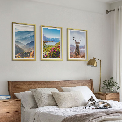 3 paveikslų rinkinys su rėmais Kalnų ežero elnių gamta