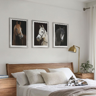 3 paveikslų rinkinys su rėmais Arklių portretai kailio atspalviuose