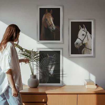 3 paveikslų rinkinys su rėmais Arklių portretai kailio atspalviuose