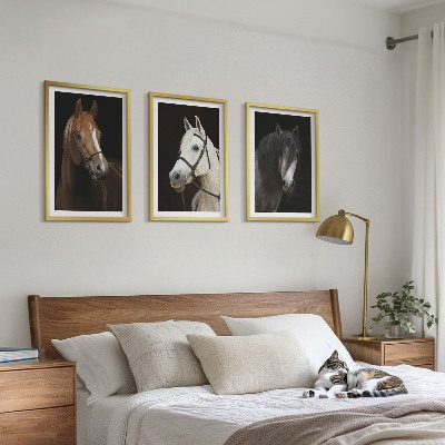 3 paveikslų rinkinys su rėmais Arklių portretai kailio atspalviuose
