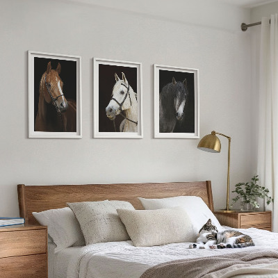 3 paveikslų rinkinys su rėmais Arklių portretai kailio atspalviuose