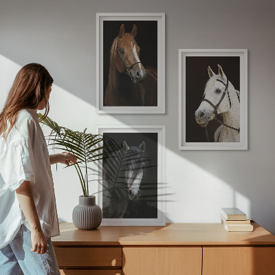 3 paveikslų rinkinys su rėmais Arklių portretai kailio atspalviuose
