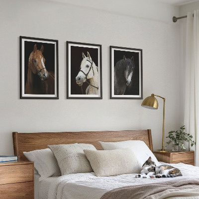 3 paveikslų rinkinys su rėmais Arklių portretai kailio atspalviuose