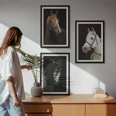 3 paveikslų rinkinys su rėmais Arklių portretai kailio atspalviuose